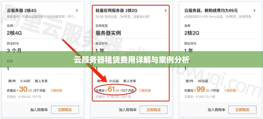 云服务器租赁费用详解与案例分析