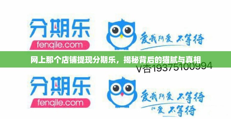 网上那个店铺提现分期乐，揭秘背后的猫腻与真相