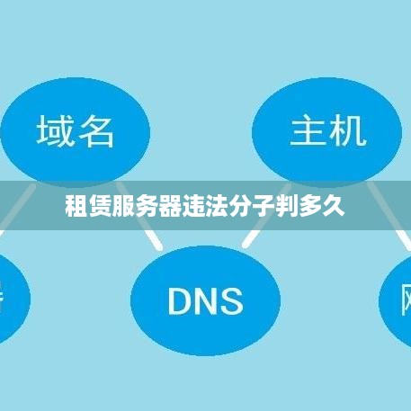 租赁服务器违法分子判多久
