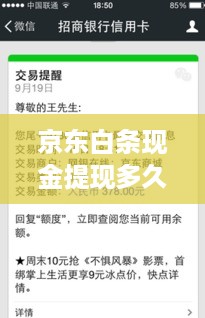 京东白条现金提现多久到账？揭秘快速到账的秘诀！