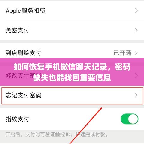 如何恢复手机微信聊天记录，密码缺失也能找回重要信息
