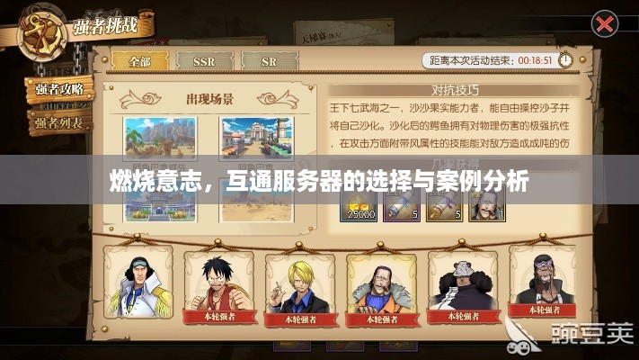 燃烧意志，互通服务器的选择与案例分析