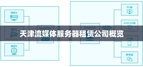 天津流媒体服务器租赁公司概览