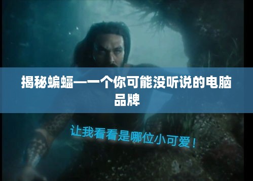 揭秘蝙蝠—一个你可能没听说的电脑品牌