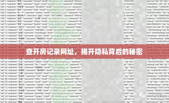查开房记录网址，揭开隐私背后的秘密