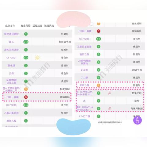 茶叶品牌产品测评表—品鉴与对比