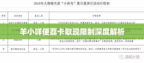羊小咩便荔卡取现限制深度解析