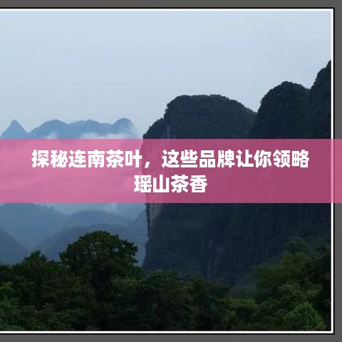 探秘连南茶叶，这些品牌让你领略瑶山茶香