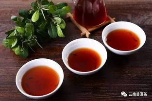 江南茶叶十大品牌盘点，品味历史，尽享茶香