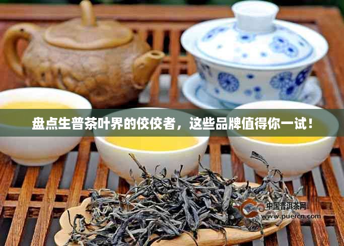盘点生普茶叶界的佼佼者，这些品牌值得你一试！