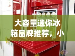 大容量迷你冰箱品牌推荐，小体积大空间，生活好帮手！