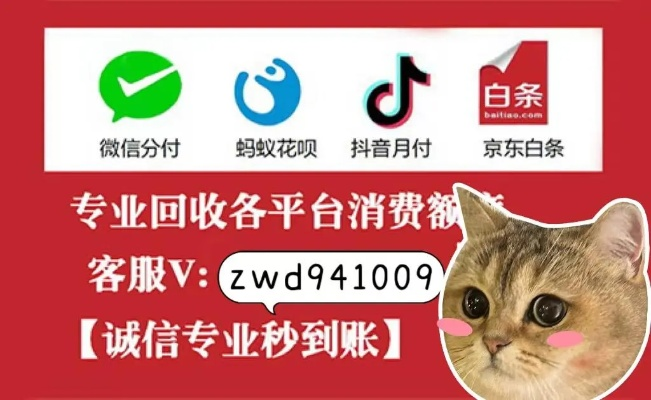白条取现攻略，轻松操作，高效借款