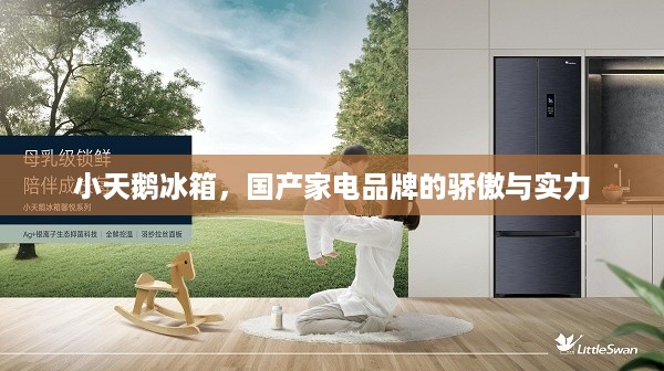 小天鹅冰箱，国产家电品牌的骄傲与实力