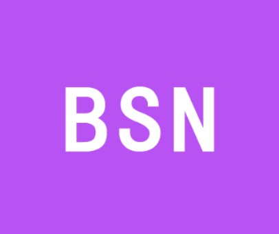 BSN电脑，揭秘这个神秘品牌背后的故事