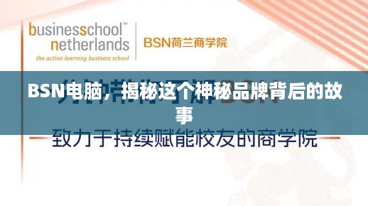 BSN电脑，揭秘这个神秘品牌背后的故事
