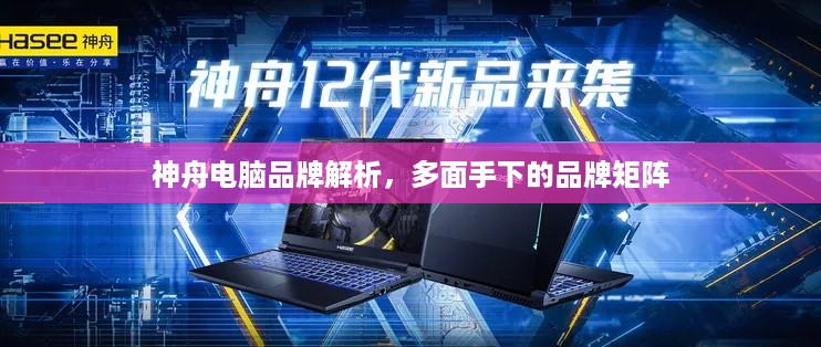 神舟电脑品牌解析，多面手下的品牌矩阵