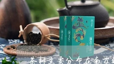 南方乔木茶叶品牌大盘点，品味自然之韵，尽在这一杯茶中