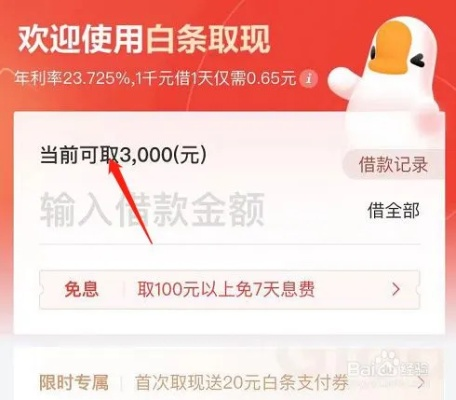 关于白条贷提现问题探讨
