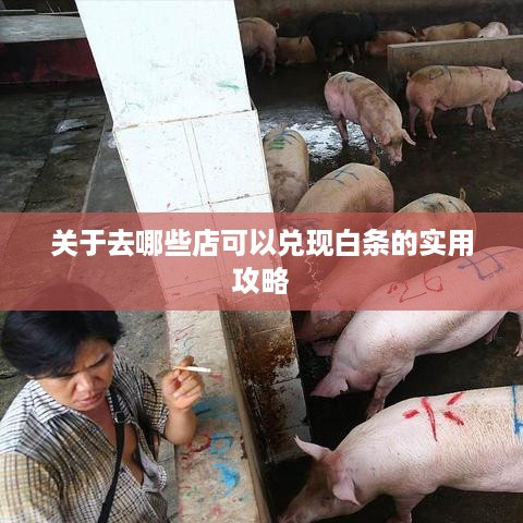 关于去哪些店可以兑现白条的实用攻略