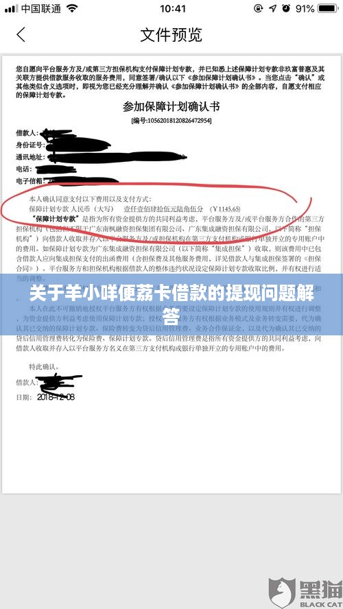 关于羊小咩便荔卡借款的提现问题解答