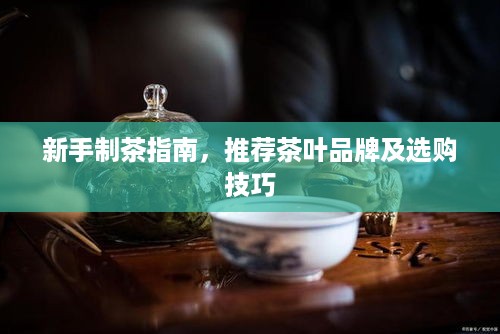 新手制茶指南，推荐茶叶品牌及选购技巧