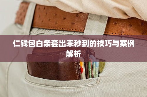 仁钱包白条套出来秒到的技巧与案例解析
