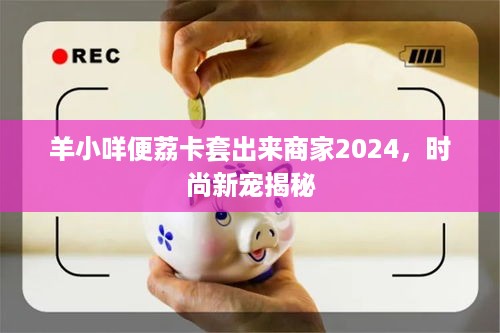 羊小咩便荔卡套出来商家2024，时尚新宠揭秘