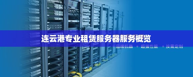 连云港专业租赁服务器服务概览