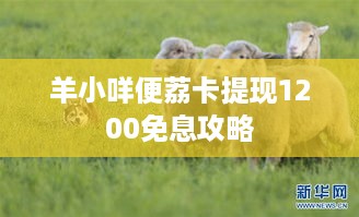羊小咩便荔卡提现1200免息攻略