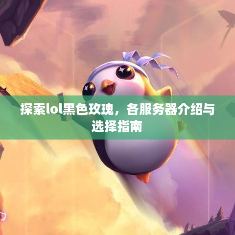 探索lol黑色玫瑰，各服务器介绍与选择指南