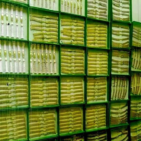 徐汇品牌电脑配件专卖店，一站式购物，打造你的个性化电脑世界