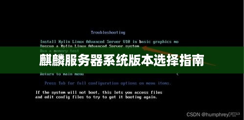 麒麟服务器系统版本选择指南