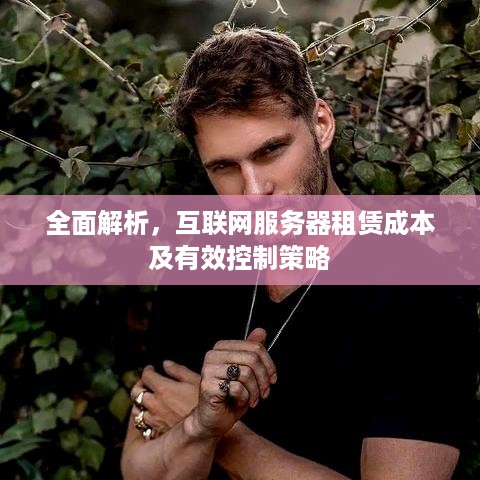 全面解析，互联网服务器租赁成本及有效控制策略