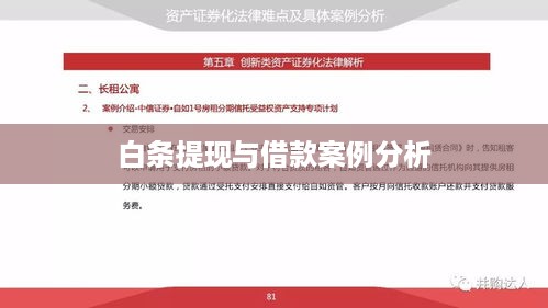 白条提现与借款案例分析