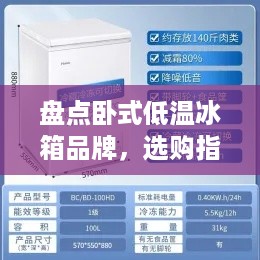 盘点卧式低温冰箱品牌，选购指南与案例分享