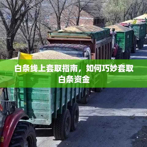 白条线上套取指南，如何巧妙套取白条资金