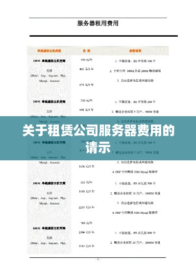 关于租赁公司服务器费用的请示