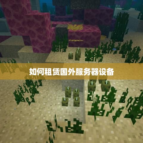 如何租赁国外服务器设备
