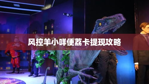 风控羊小咩便荔卡提现攻略