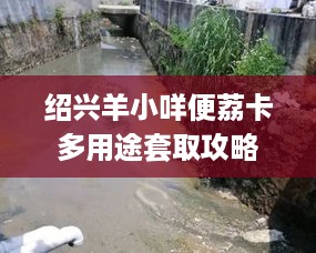 绍兴羊小咩便荔卡多用途套取攻略