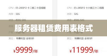 服务器租赁费用表格式