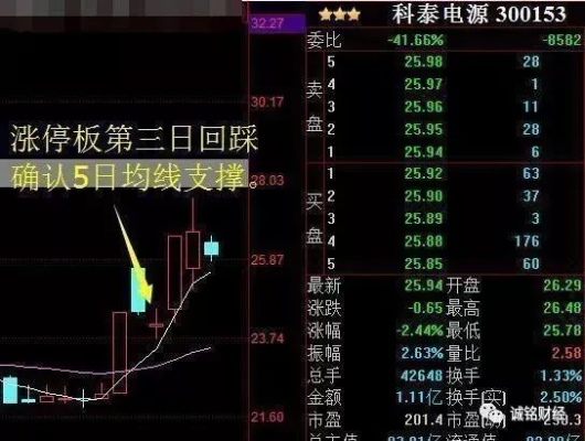 星露谷热门服务器推荐与案例分析