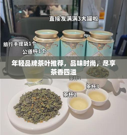 年轻品牌茶叶推荐，品味时尚，尽享茶香四溢