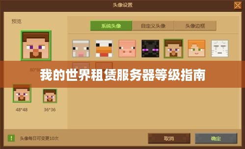 我的世界租赁服务器等级指南