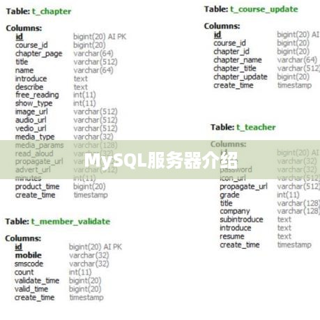 MySQL服务器介绍
