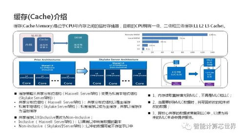 高级服务器租赁方式全解析