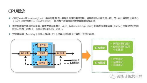 高级服务器租赁方式全解析