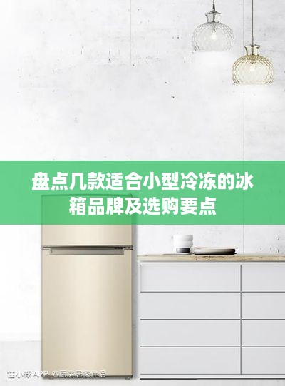 盘点几款适合小型冷冻的冰箱品牌及选购要点