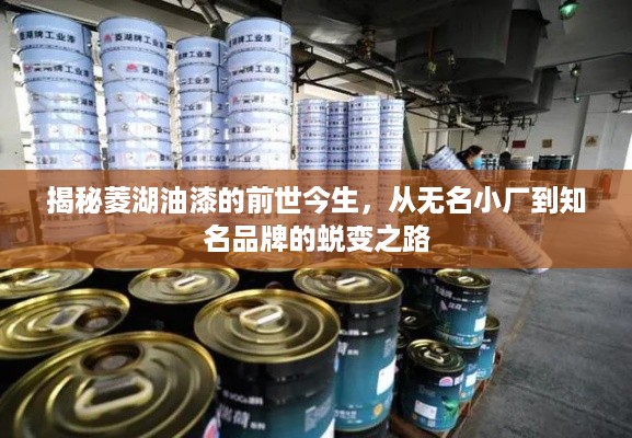 揭秘菱湖油漆的前世今生，从无名小厂到知名品牌的蜕变之路