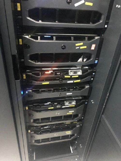 泸州服务器租赁价格指南